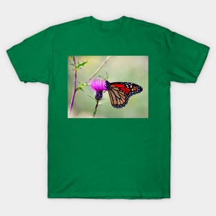 “Monarch’s Floral Snack” T-Shirt